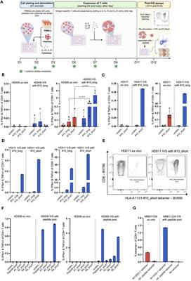 Refined analytical pipeline for the pharmacodynamic assessment of T-cell responses to vaccine antigens